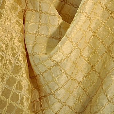 Dolina 503